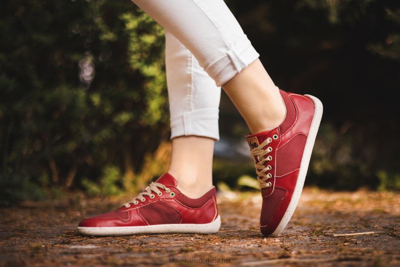 Heren Be Lenka barefoot sneakers - kampioen 2.0 - veganistisch 08T6T11 rood