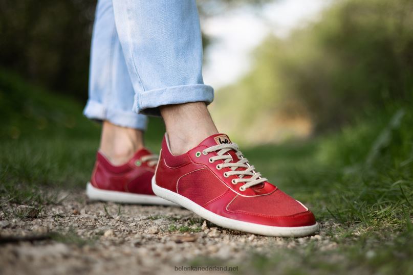 Heren Be Lenka barefoot sneakers - kampioen 2.0 - veganistisch 08T6T11 rood