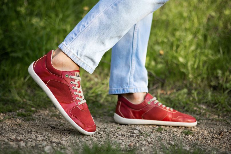 Heren Be Lenka barefoot sneakers - kampioen 2.0 - veganistisch 08T6T11 rood